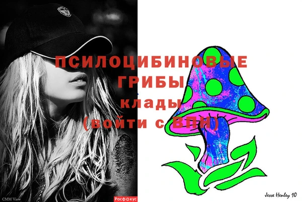 spice Верея