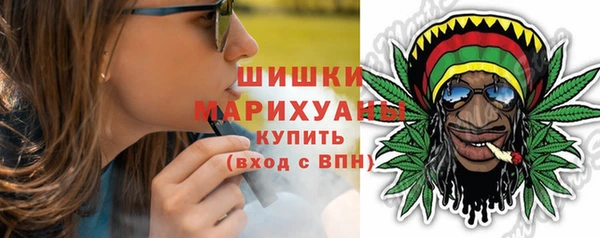 spice Верея