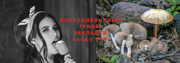 дмт Верхний Тагил
