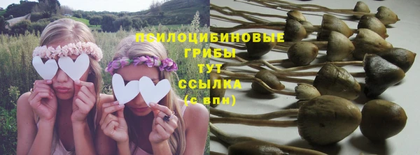 дмт Верхний Тагил