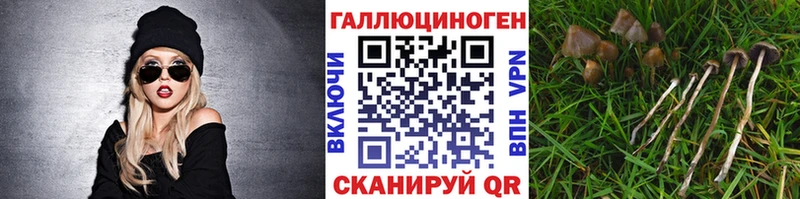 Галлюциногенные грибы Psilocybine cubensis  Кропоткин 