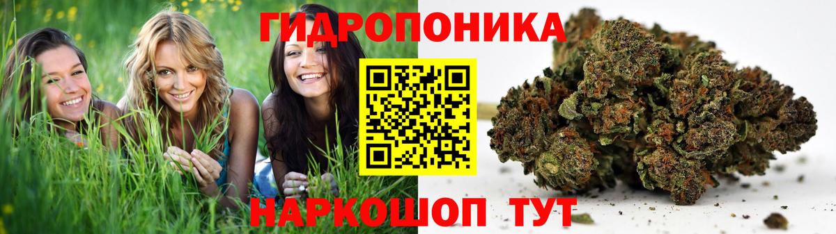 Шишки марихуана Amnesia  Шишки марихуана OG Kush  Кропоткин  Бошки марихуана ГИДРОПОН 